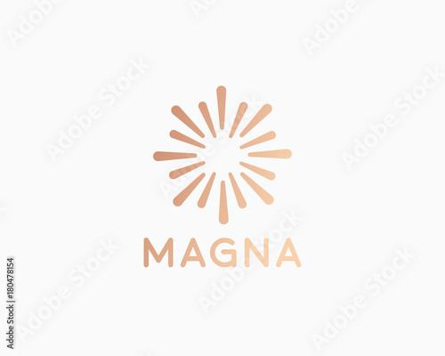 Abstract sun flower logo. Energy explosion bang fireworks vector icon logotype