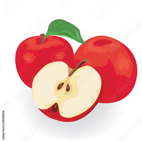 Red apple vector illustration