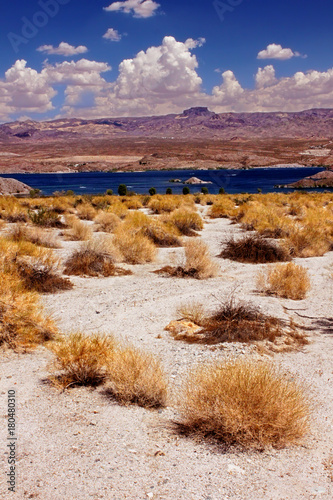 Fototapeta Naklejka Na Ścianę i Meble -  Lake Mohave Desert Landscape Nevada