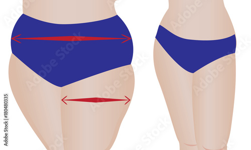 Fat and slim  girls' back.  vector