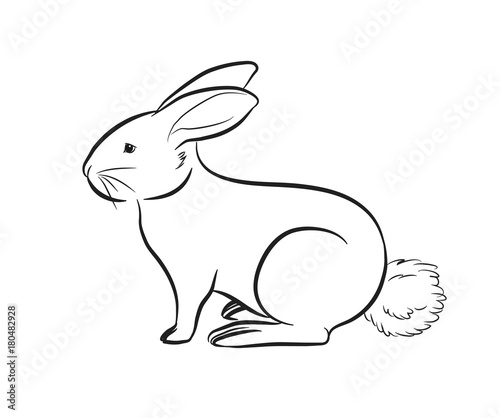 Cartoon Rabbit Outlining Vector Illustration