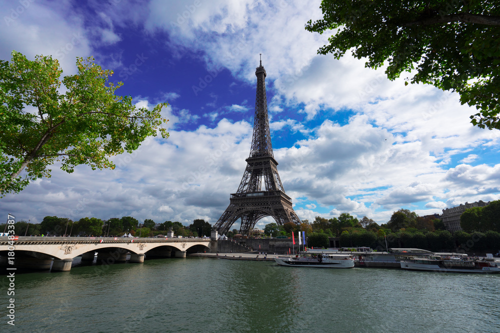 Obraz premium Eiffel Tower and Pont dIena with tree, Paris France