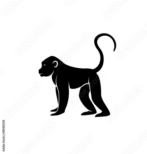 Monkey Silhouette Vector