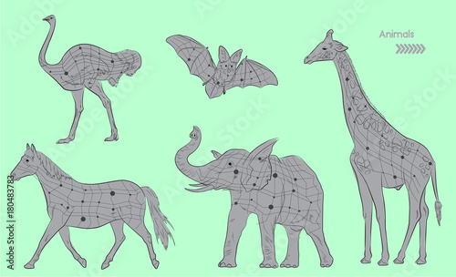 Wild Zoo Animals Geometric Line Art Vector Designs