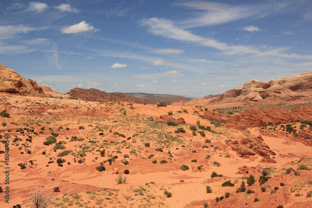 USA Arizona Coyote South Butte The Wave