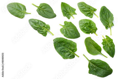 spinach leaves isolate on white background top view