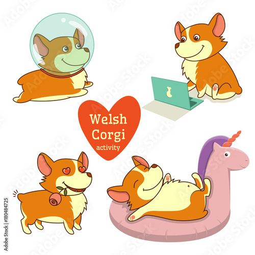Cute welsh corgi set in different poses. Funny corgi vector illustration.