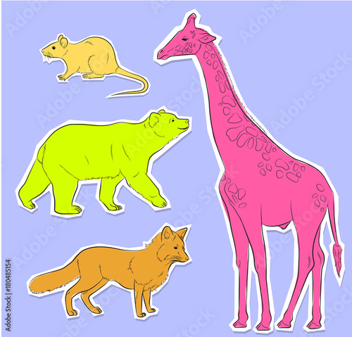 Photography Set of Four Wild Animals Stickers Vector