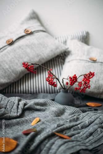 Warm knitted sweater, pillows and rowan berry. Autumn concept
