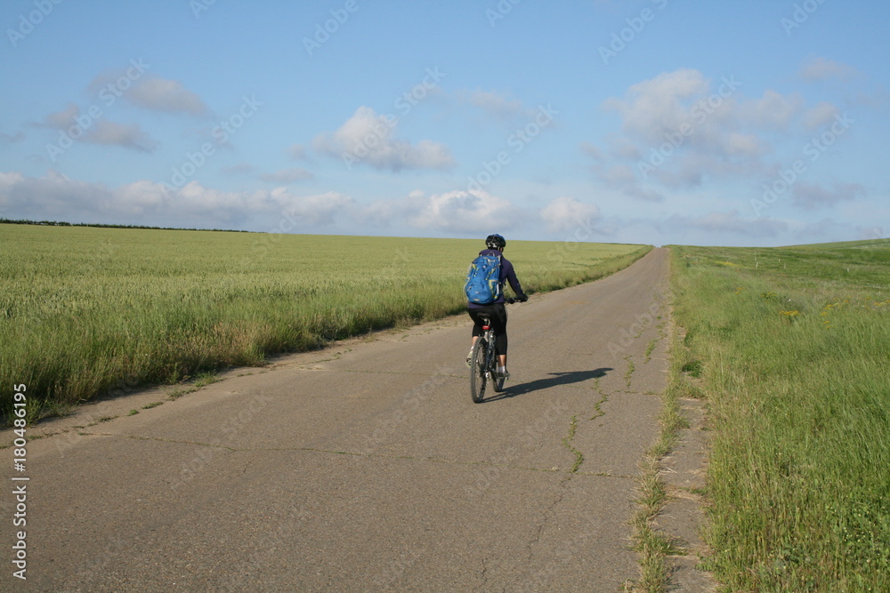 Summer cyclist, young woman riding bike on road among fields