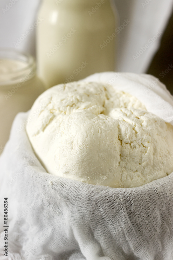Homemade dairy products: cottage cheese, sour cream and milk on a white background. Style rustic.