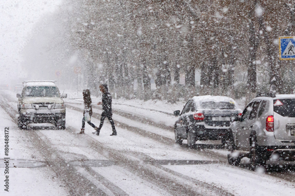 Naklejka premium Walking in the snow