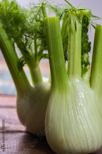 Fresh raw organic Florence fennel bulbs, close up