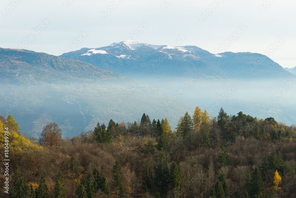 Beautiful landscape with forest in foliage and rocky mountains covered with snow, Trentino, Italy