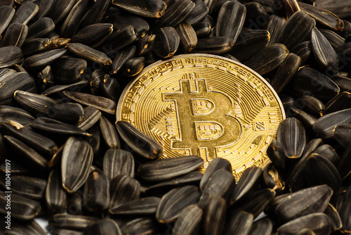 Cryptocurrency physical silver and gold bitcoin coin and seeds photo