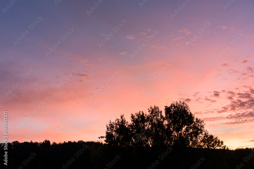 sunset with red and violet sky and tree