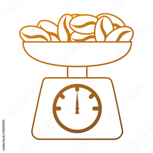 gramer with coffee seeds isolated icon vector illustration design