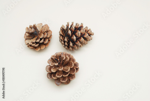 Isolated Dry Brown Three Fir Cones Without seeds. Top view. White background.