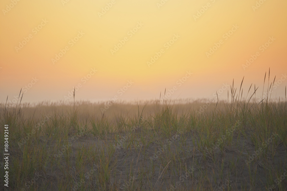 Obraz premium Sunset landscape meadow at ocean/Background sunset of grassy meadow at beach in soft lighting