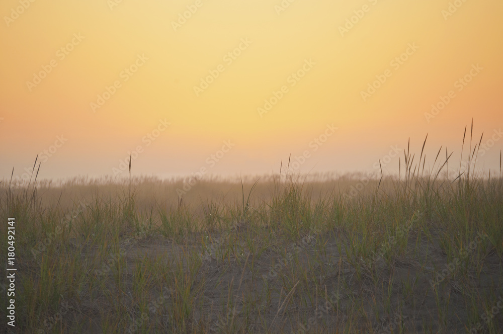 Sunset landscape meadow at ocean/Background sunset of grassy meadow at beach in soft lighting
