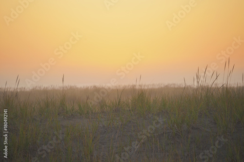 Sunset landscape meadow at ocean Background sunset of grassy meadow at beach in soft lighting