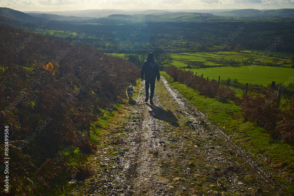 Man walking dog in countryside