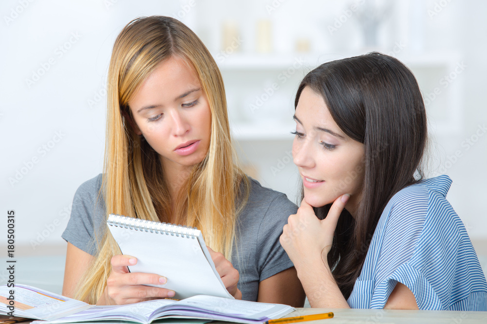 two females student learning together for exam two females student learning together for exam