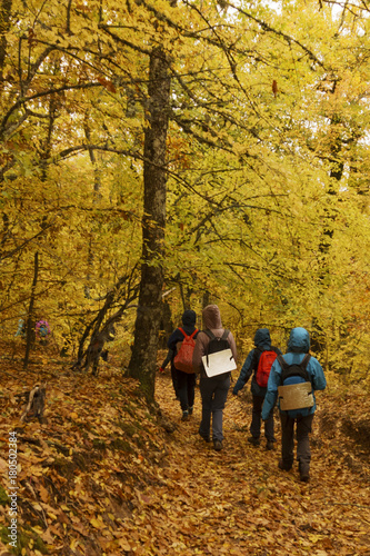 walk in the autumn forest © Tatiana Lukina