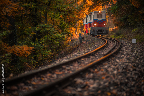 Budapest, Hungary - Beautiful autumn forest with foliage and old colorful train coming out of tunnel in Hungarian woods at sunset