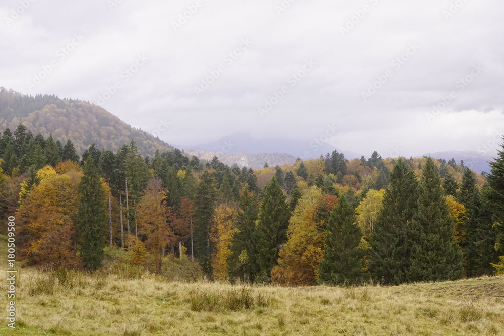 nature nature