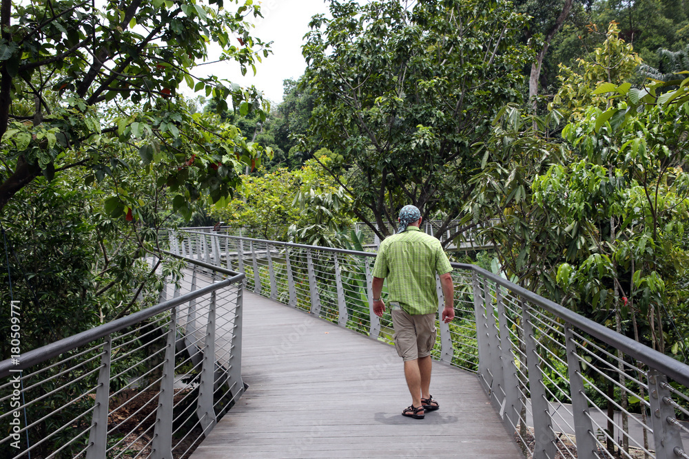 Tropenwald-Weg im Botanischen Garten Tropenwald-Weg im Botanischen Garten