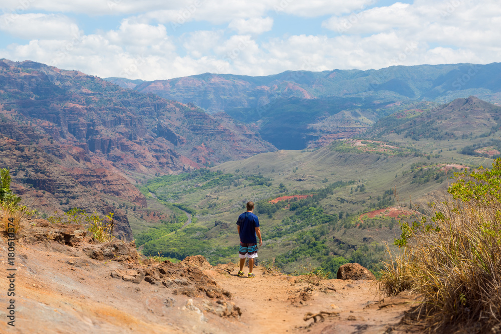 Obraz premium Man from behind in front of Waimea canyon on the island Kauai, Hawaii