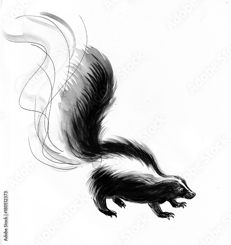 Stinky skunk