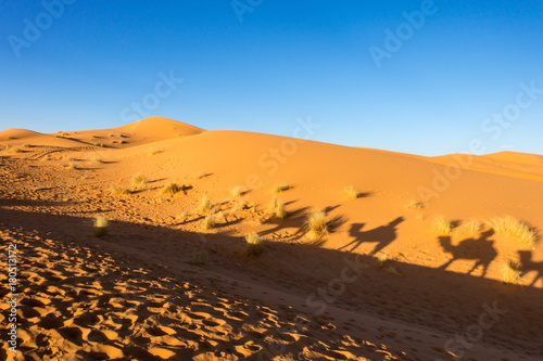 Stunning landscape of Erg Chebbi dunes in Sahara desert, Merzouga, Morocco