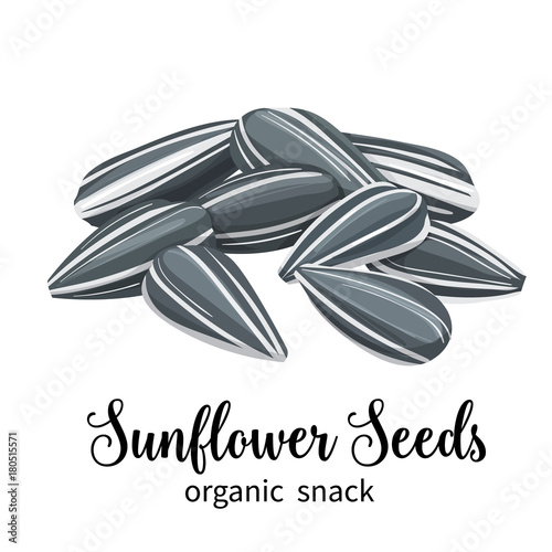 Vector sunflower seeds