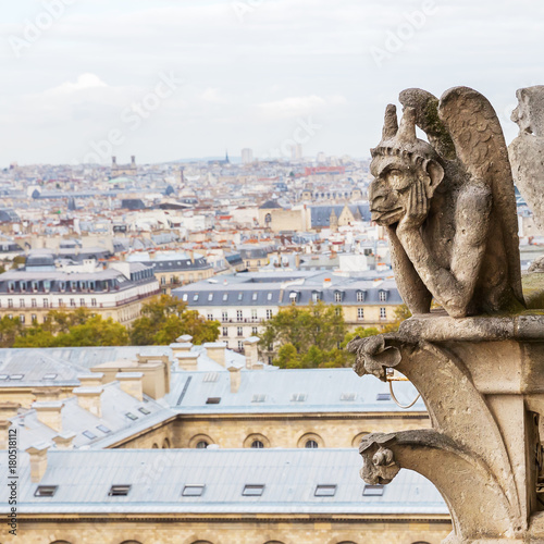 gargoyle of the Notre Dame in Paris, France, with aerial view of the city