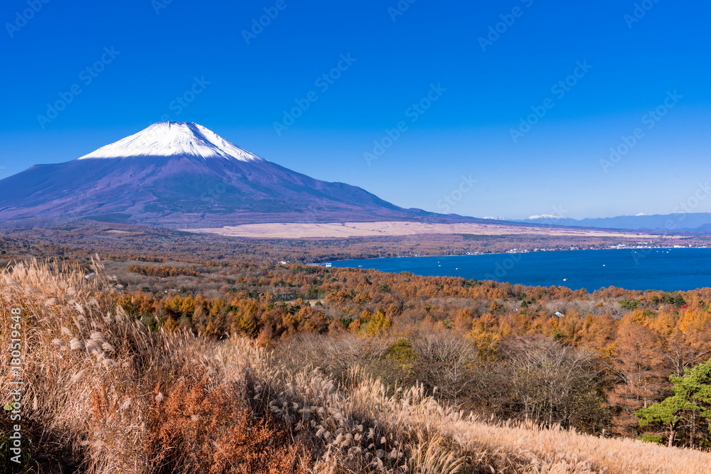 Fototapeta premium 富士山の秋景色