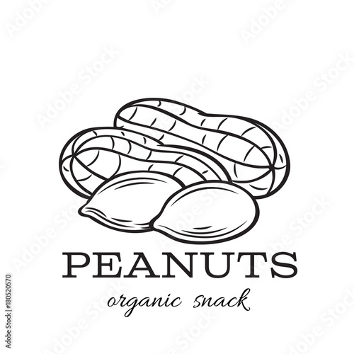 hand drawn peanuts