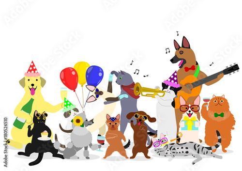 party cats and dogs group