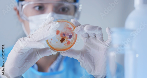 Tableau sur toile Scientist observation about petri dish in lab