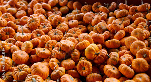 Pumpkins galore