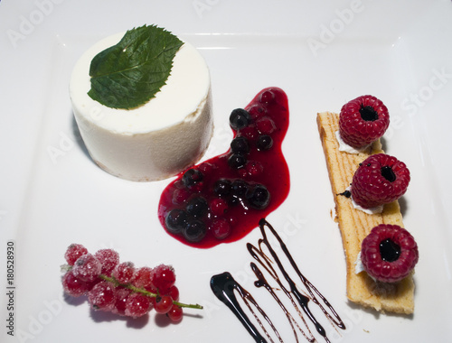 Panna Cotta an Fruchtspiegel photo