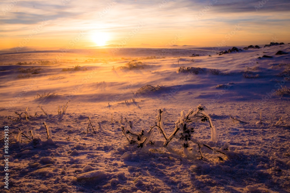 Arctic Circle at sunset