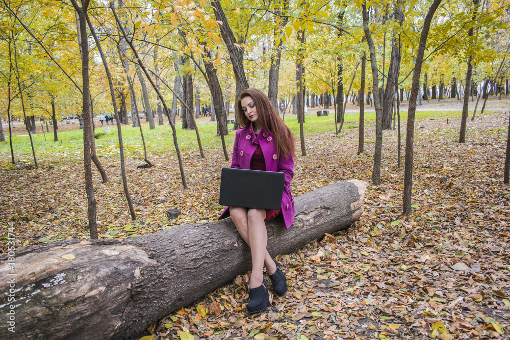 Beautiful woman working and writing letters on laptop in autumn park. A woman checks the email on the laptop Beautiful woman working and writing letters on laptop in autumn park. A woman checks the email on the laptop