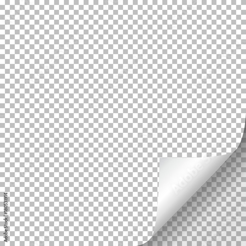 Page curl with shadow on blank sheet of paper.