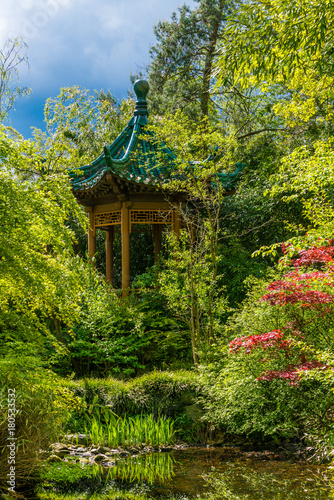 garden in chinese style. The oriental pavilion