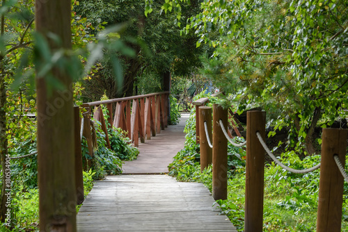 Rustic wooden bridge over stream in summer park.