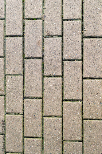 decorative paving tile on the sidewalk. background  texture  pattern.