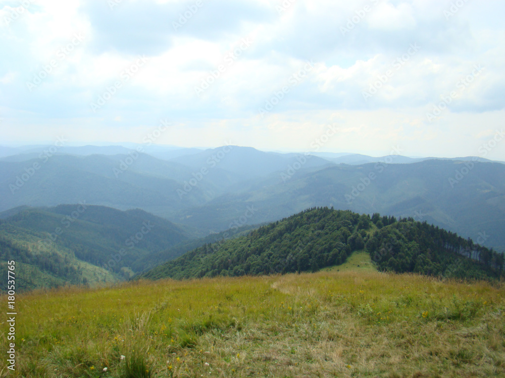 Green mountain landscape of the Carpathians against the blue sky.