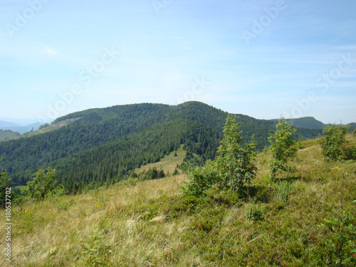 Green mountain landscape of the Carpathians against the blue sky.